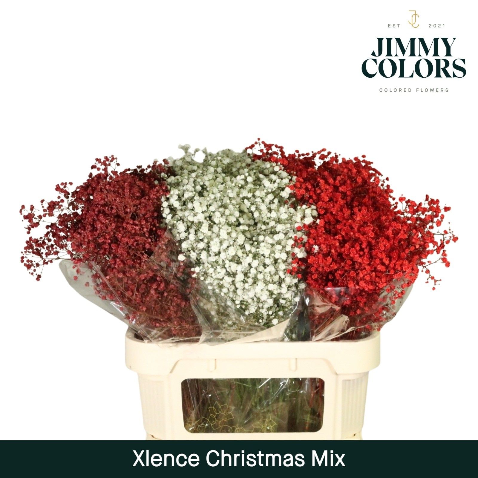 Срезанные цветы оптом Gyps large paint mix christmas от 75шт. из Голландии с доставкой по России