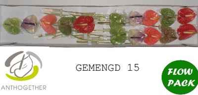 Срезанные цветы оптом Anthurium mix in box от 15шт из Голландии с доставкой по России