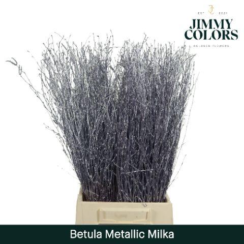 Срезанные цветы оптом Betula paint metallic milka от 20шт из Голландии с доставкой по России