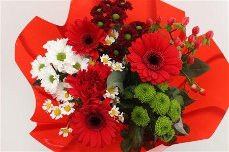 Срезанные цветы оптом Bouquet 9-10 stem red от 10шт из Голландии с доставкой по России