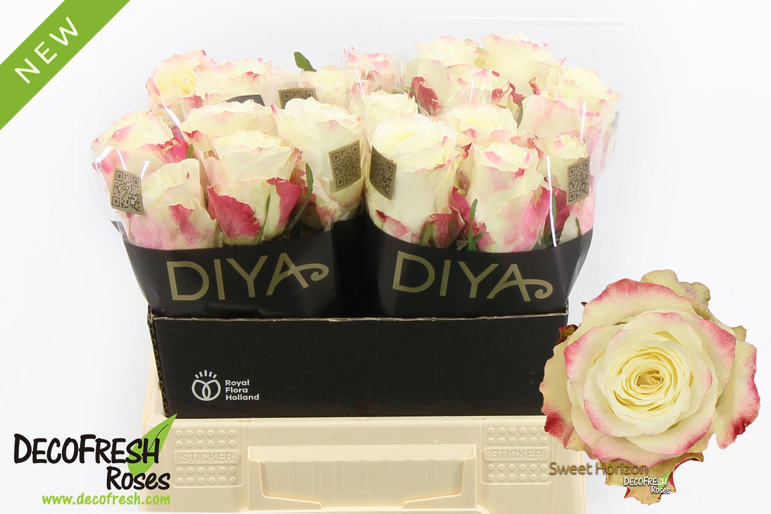 Срезанные цветы оптом Rosa large sweet horizon от 20шт из Голландии с доставкой по России