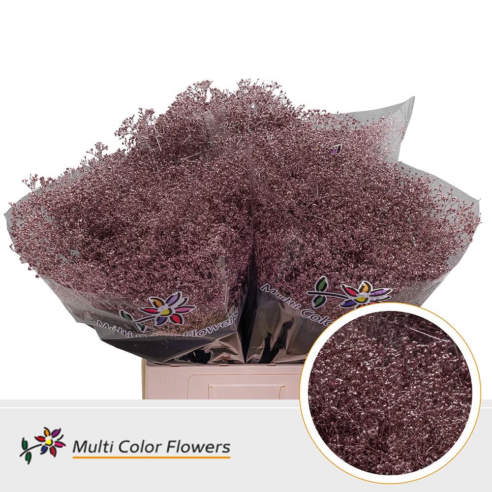 Срезанные цветы оптом Gyps fine paint rose gold от 100шт из Голландии с доставкой по России