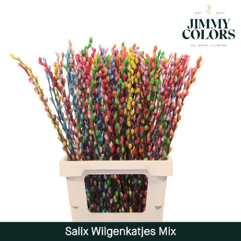 Срезанные цветы оптом Salix paint pussy willow mix от 50шт из Голландии с доставкой по России