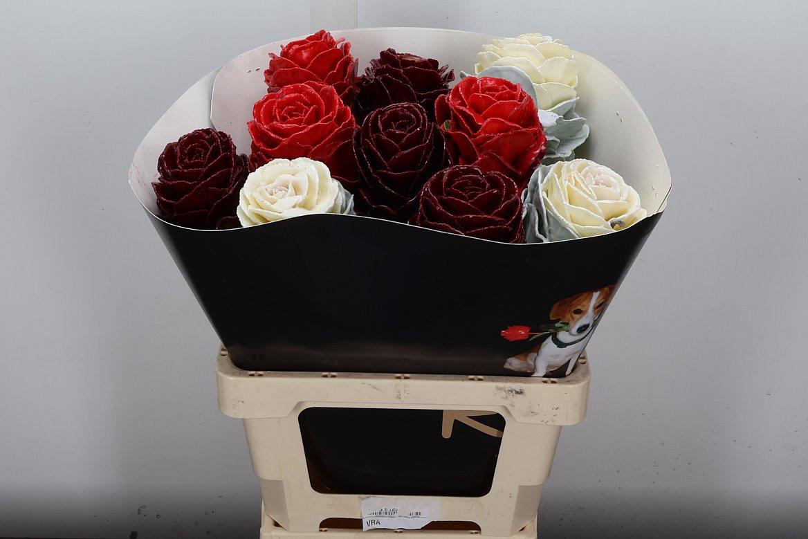 Срезанные цветы оптом Brassica wax mix red white от 10шт из Голландии с доставкой по России