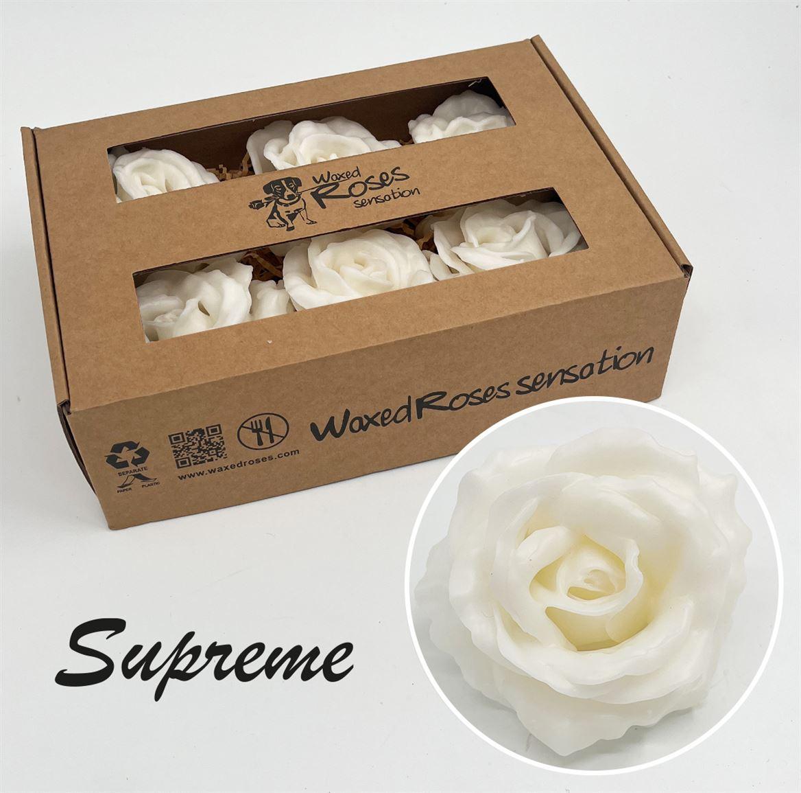 Срезанные цветы оптом Rosa large silk wax white от 6шт из Голландии с доставкой по России