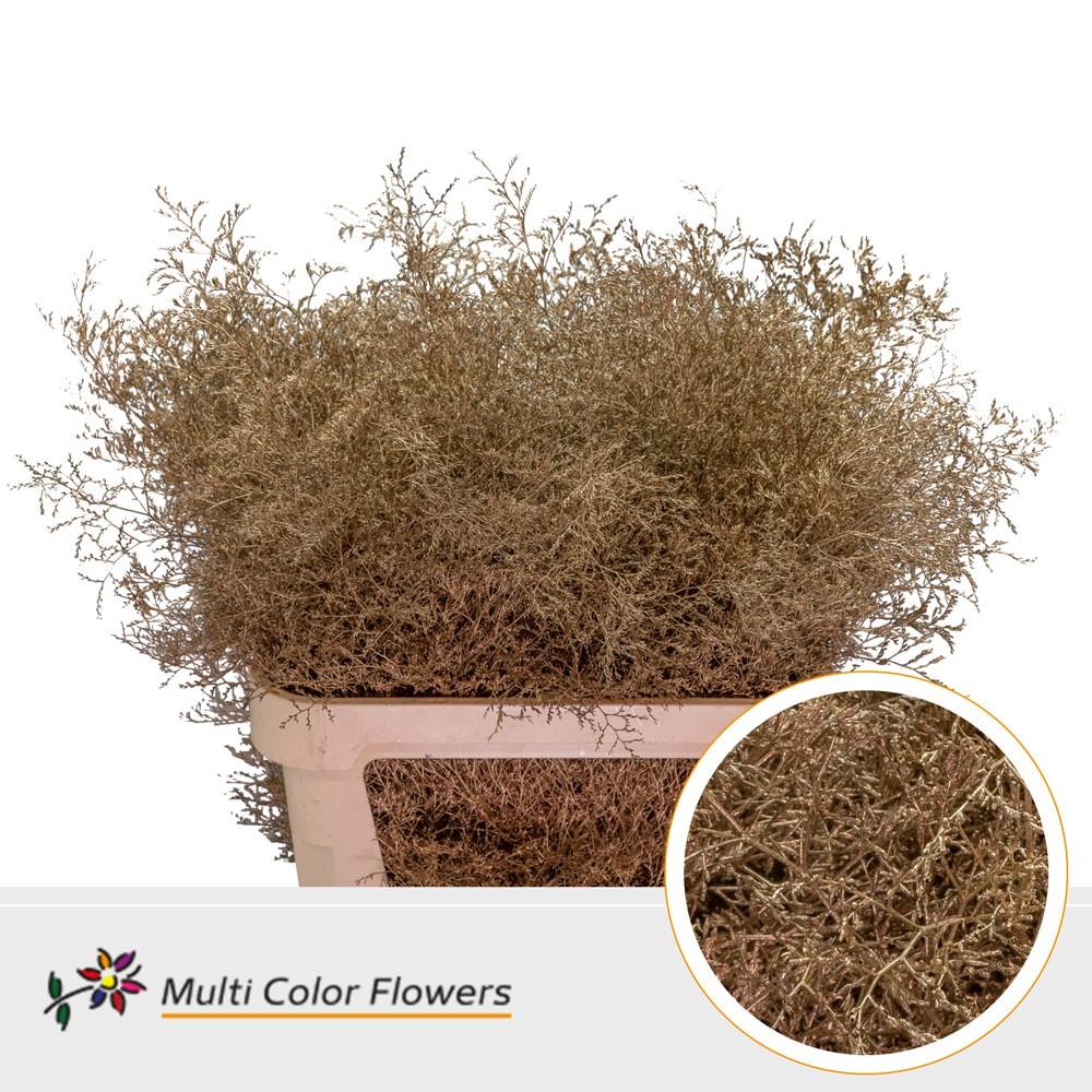 Срезанные цветы оптом Limonium beltlaard paint metallic antique gold от 25шт из Голландии с доставкой по России