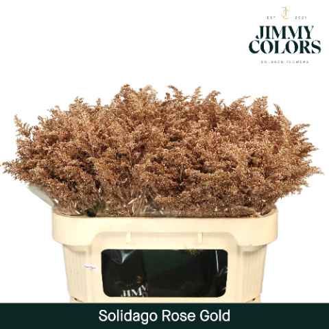 Срезанные цветы оптом Solidago paint pink gold от 25шт из Голландии с доставкой по России