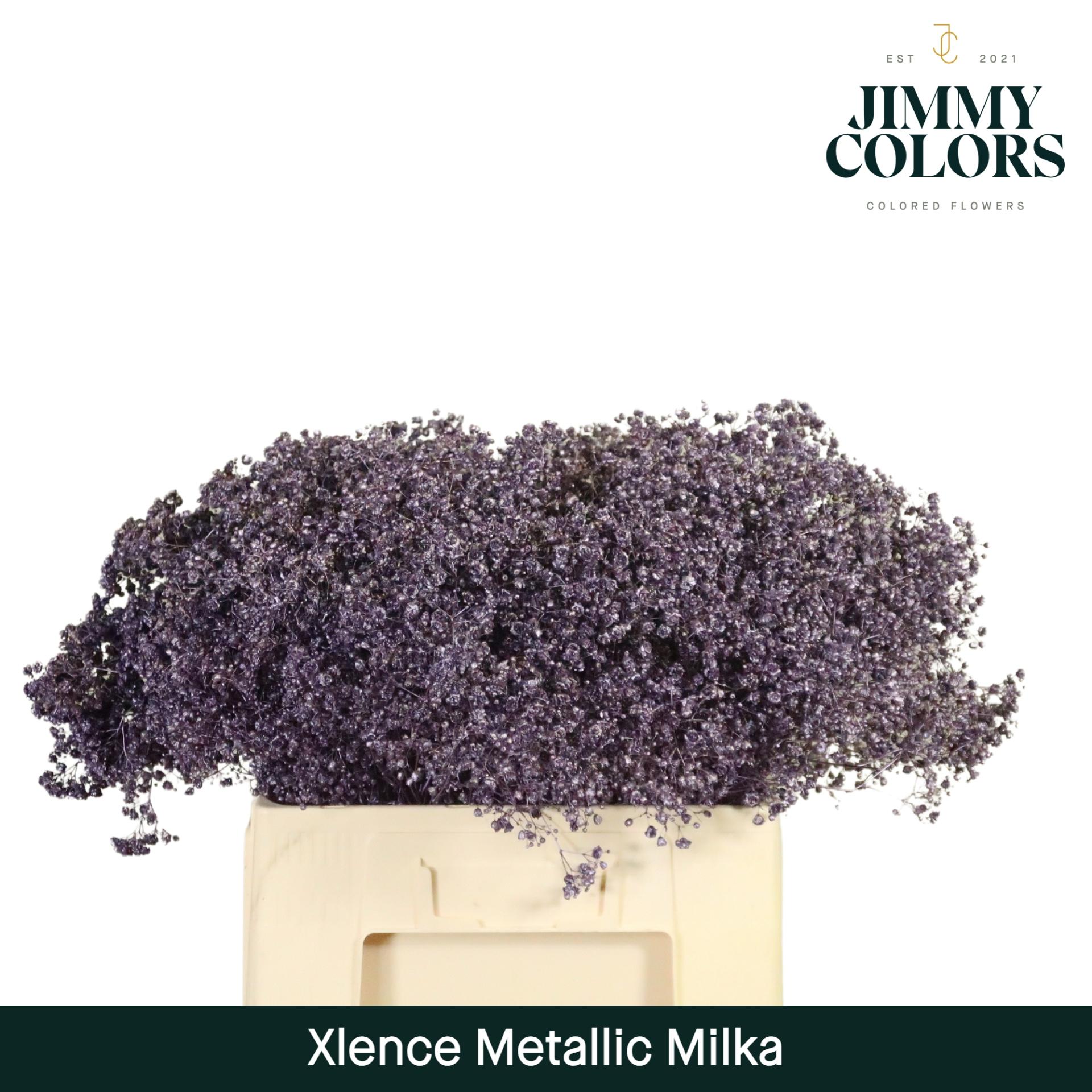 Срезанные цветы оптом Gyps large paint metallic milka от 100шт из Голландии с доставкой по России