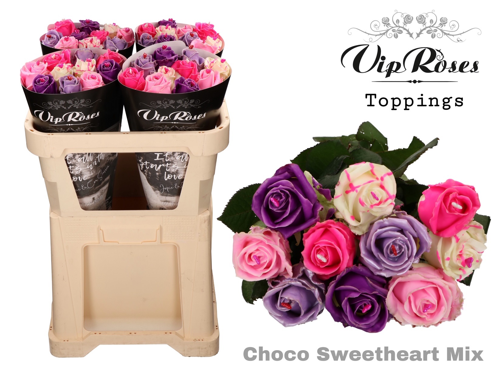 Срезанные цветы оптом Rosa large paint choco sweetheart mix от 40шт. из Голландии с доставкой по России
