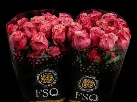 Срезанные цветы оптом Rosa ec art rose от 40шт из Голландии с доставкой по России