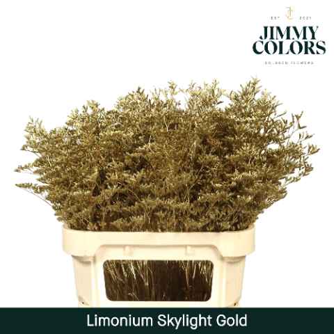 Срезанные цветы оптом Limonium skylight paint gold от 75шт из Голландии с доставкой по России