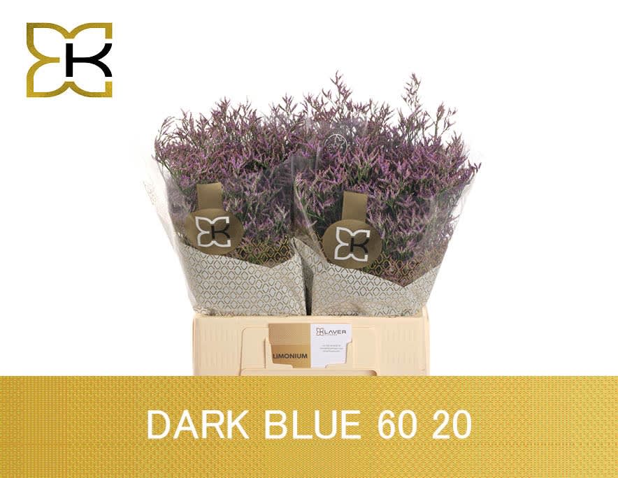 Срезанные цветы оптом Limonium safora dark blue от 100шт. из Голландии с доставкой по России