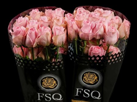 Срезанные цветы оптом Rosa ec luciano от 25шт. из Голландии с доставкой по России