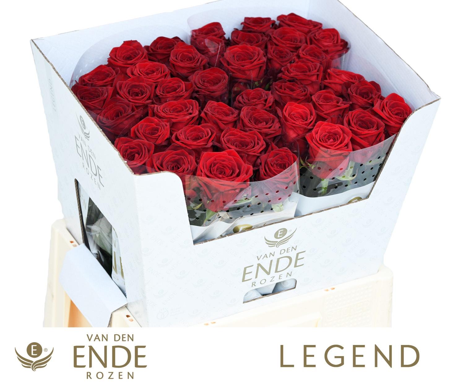 Срезанные цветы оптом Rosa large red naomi! от 40шт из Голландии с доставкой по России