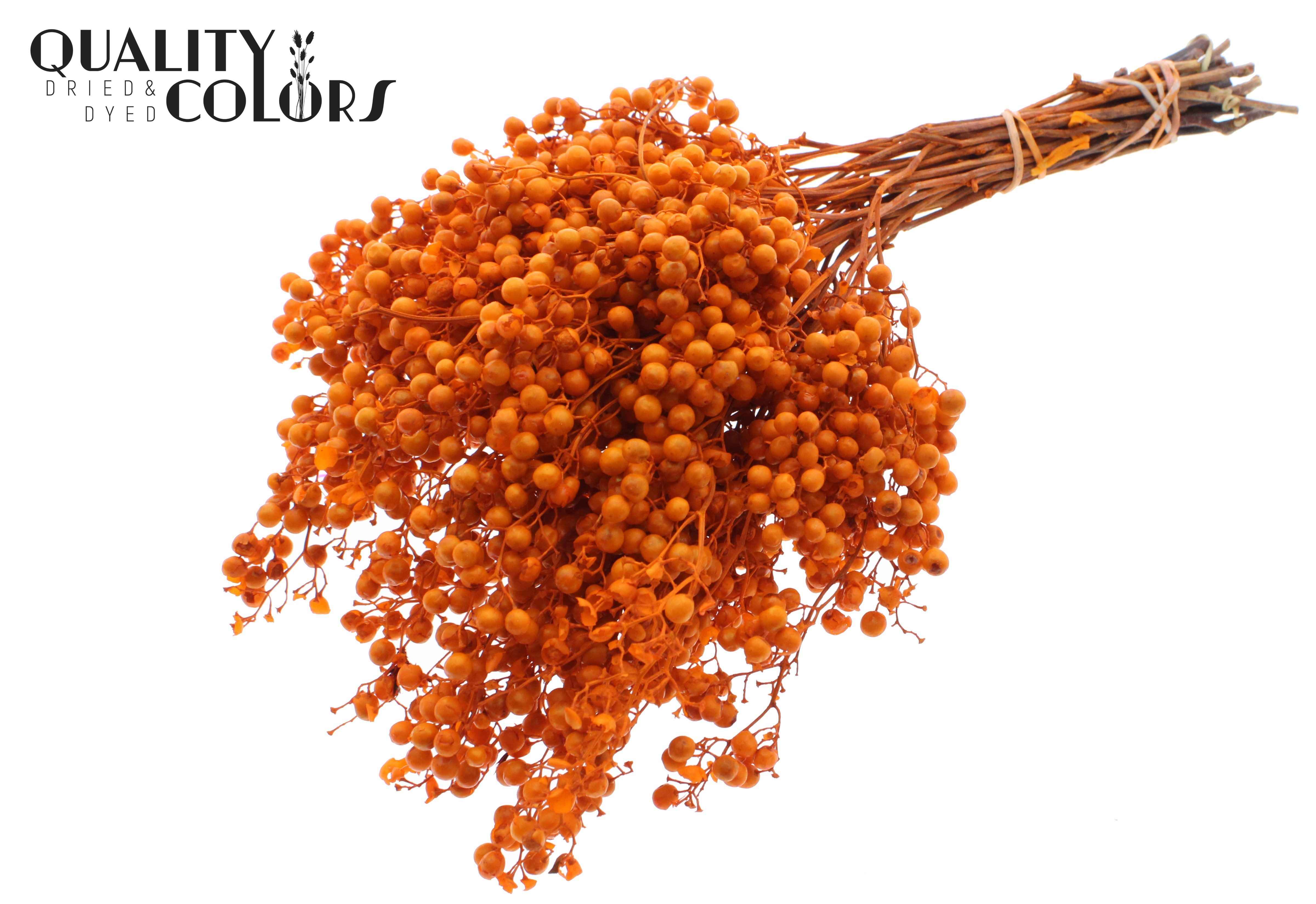 Срезанные цветы оптом Pepperberries per bunch in poly orange от 5шт из Голландии с доставкой по России