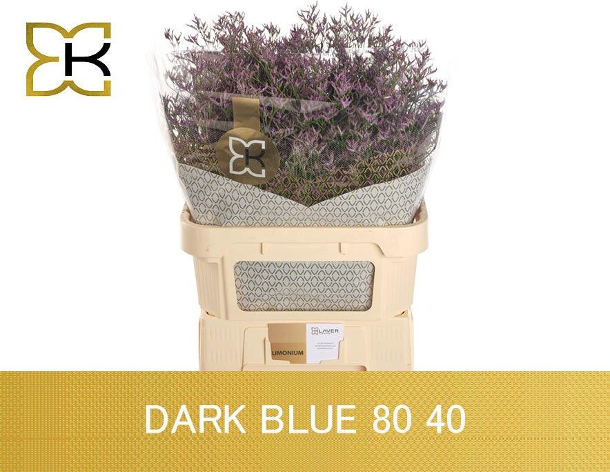 Срезанные цветы оптом Limonium safora dark blue от 50шт. из Голландии с доставкой по России