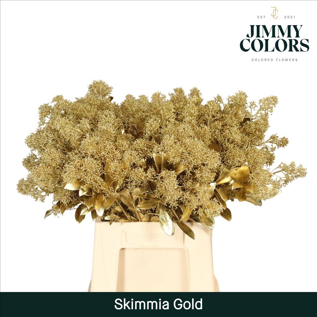 Срезанные цветы оптом Skimmia paint gold + glitter от 10шт из Голландии с доставкой по России