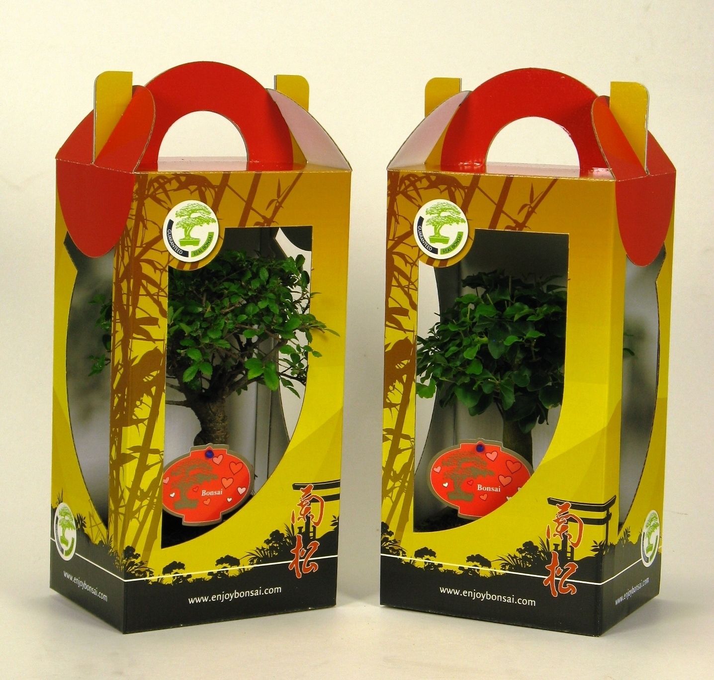 Горшечные цветы и растения оптом Bonsai Mix In Chinese Giftbox 13 Cm; With Valentin от 7шт из Голландии с доставкой по России