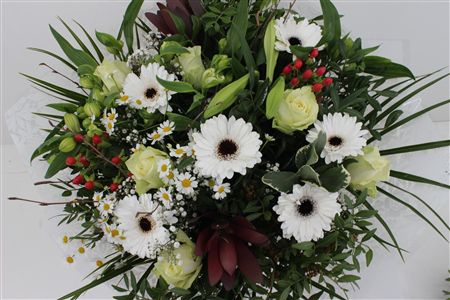 Срезанные цветы оптом Bouquet rosa big white от 1шт из Голландии с доставкой по России