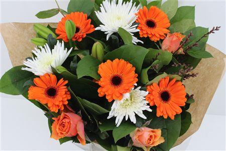 Срезанные цветы оптом Bouquet anastasia orange от 3шт из Голландии с доставкой по России