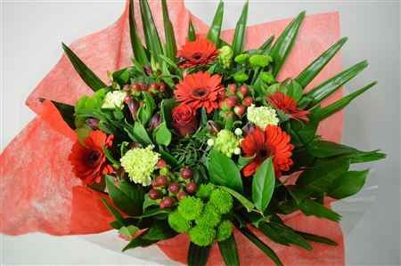 Срезанные цветы оптом Bouquet super red от 1шт из Голландии с доставкой по России