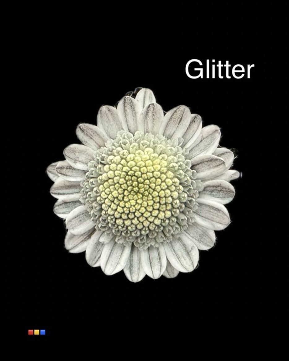 Срезанные цветы оптом Chrys sp paint stallion dusty grey + glitter от 60шт из Голландии с доставкой по России