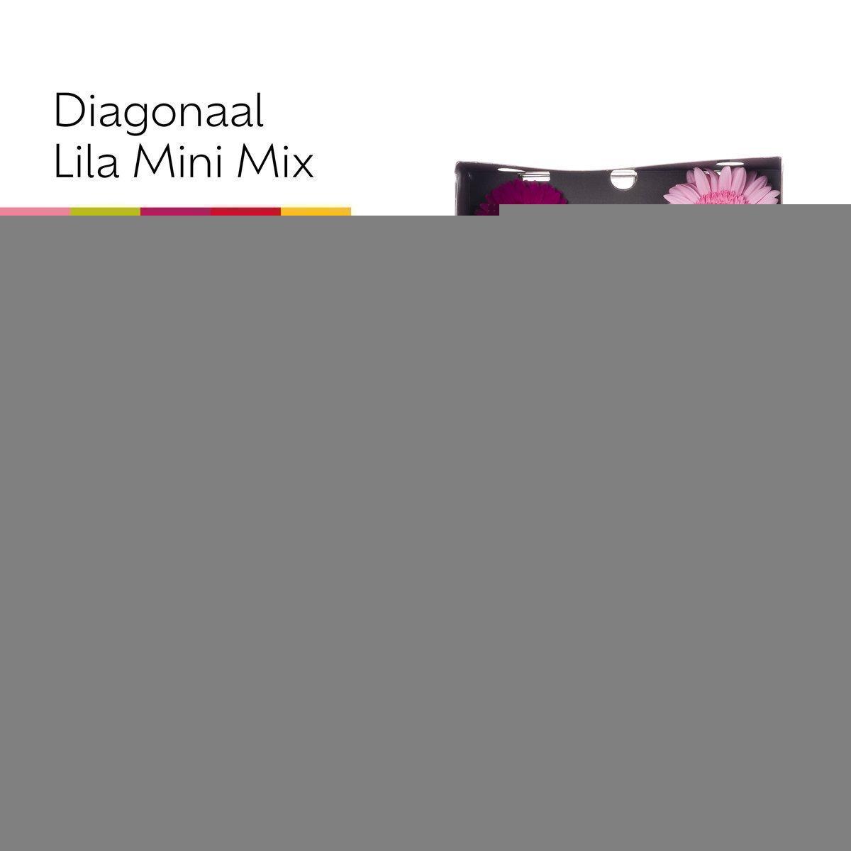 Срезанные цветы оптом Germini diamond mix pink от 80шт из Голландии с доставкой по России