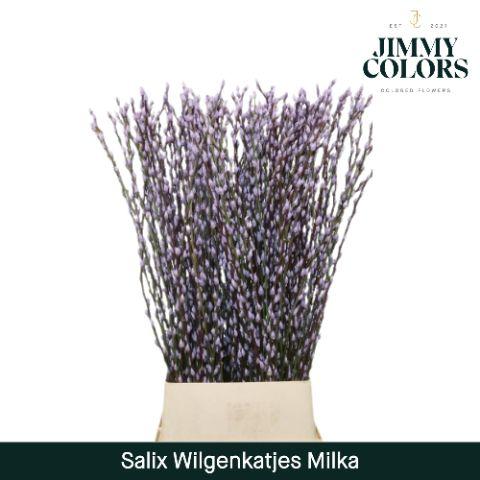 Срезанные цветы оптом Salix paint pussy willow milka от 200шт из Голландии с доставкой по России