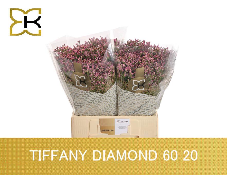 Срезанные цветы оптом Limonium tiffany diamond от 100шт из Голландии с доставкой по России