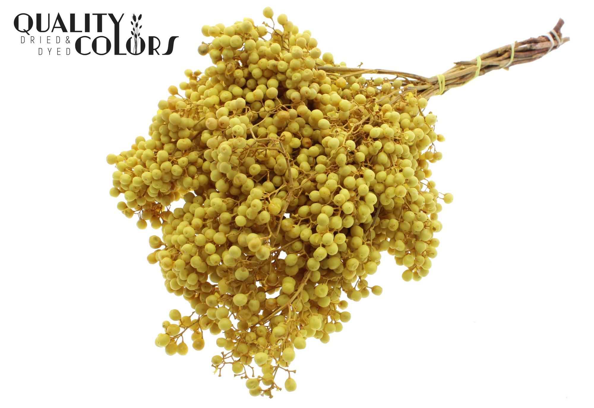 Срезанные цветы оптом Pepperberries per bunch in poly Yellow от 5шт из Голландии с доставкой по России