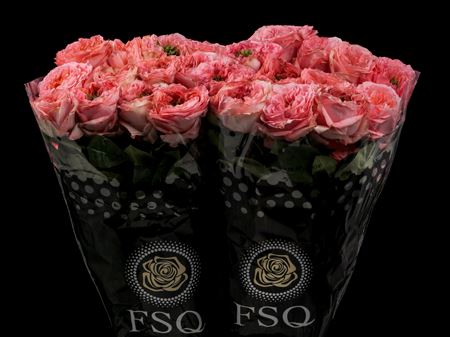 Срезанные цветы оптом Rosa ec mandarin expression от 40шт из Голландии с доставкой по России