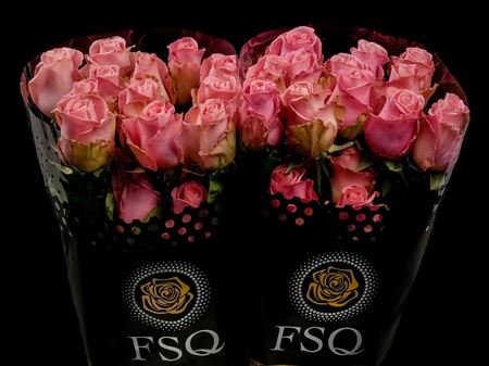Срезанные цветы оптом Rosa ec hermosa от 40шт. из Голландии с доставкой по России