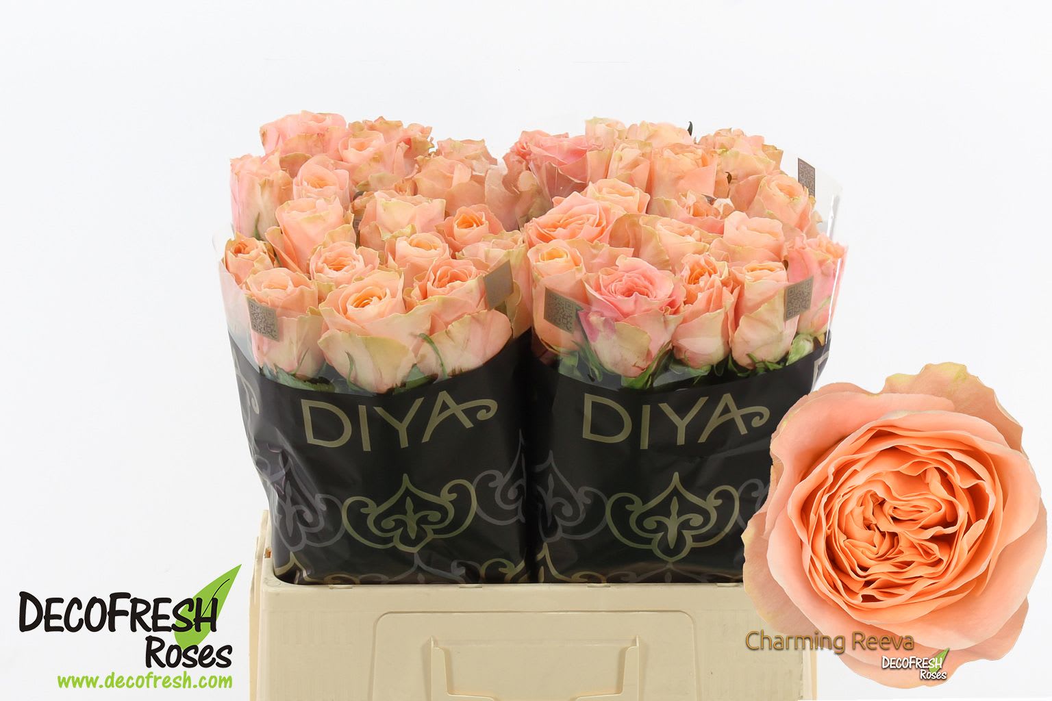 Срезанные цветы оптом Rosa large charming reeva от 60шт из Голландии с доставкой по России