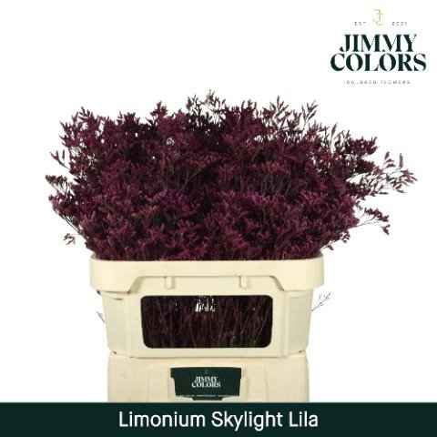 Срезанные цветы оптом Limonium skylight paint lila от 25шт из Голландии с доставкой по России