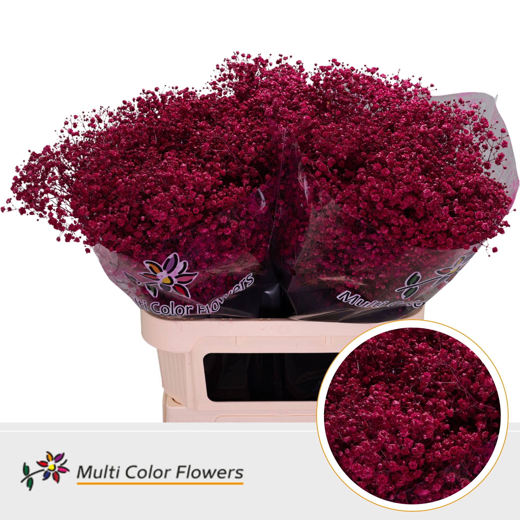 Срезанные цветы оптом Gyps large paint cerise от 50шт. из Голландии с доставкой по России