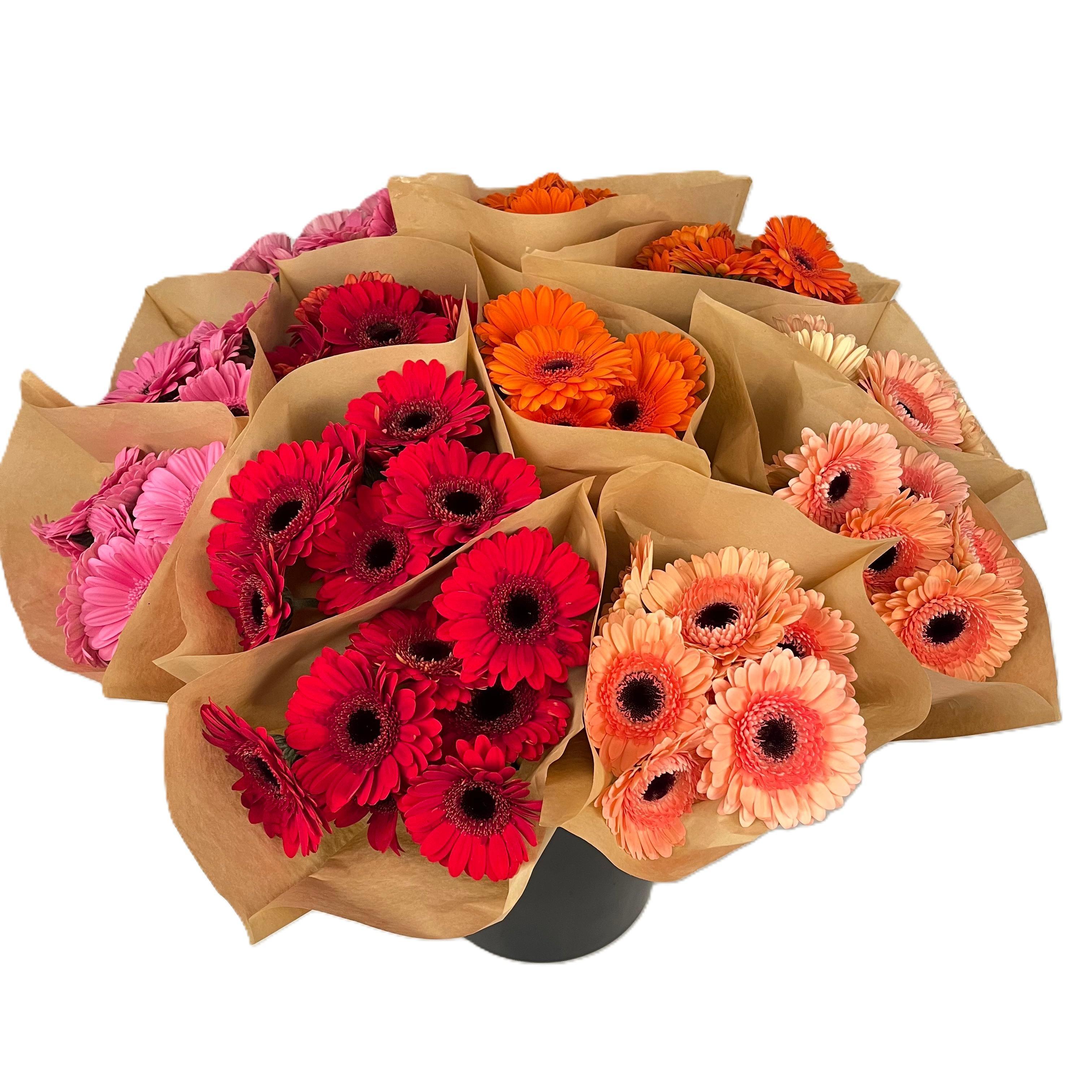 Срезанные цветы оптом Bq Mono Germini 7-er mix от 12шт из Голландии с доставкой по России