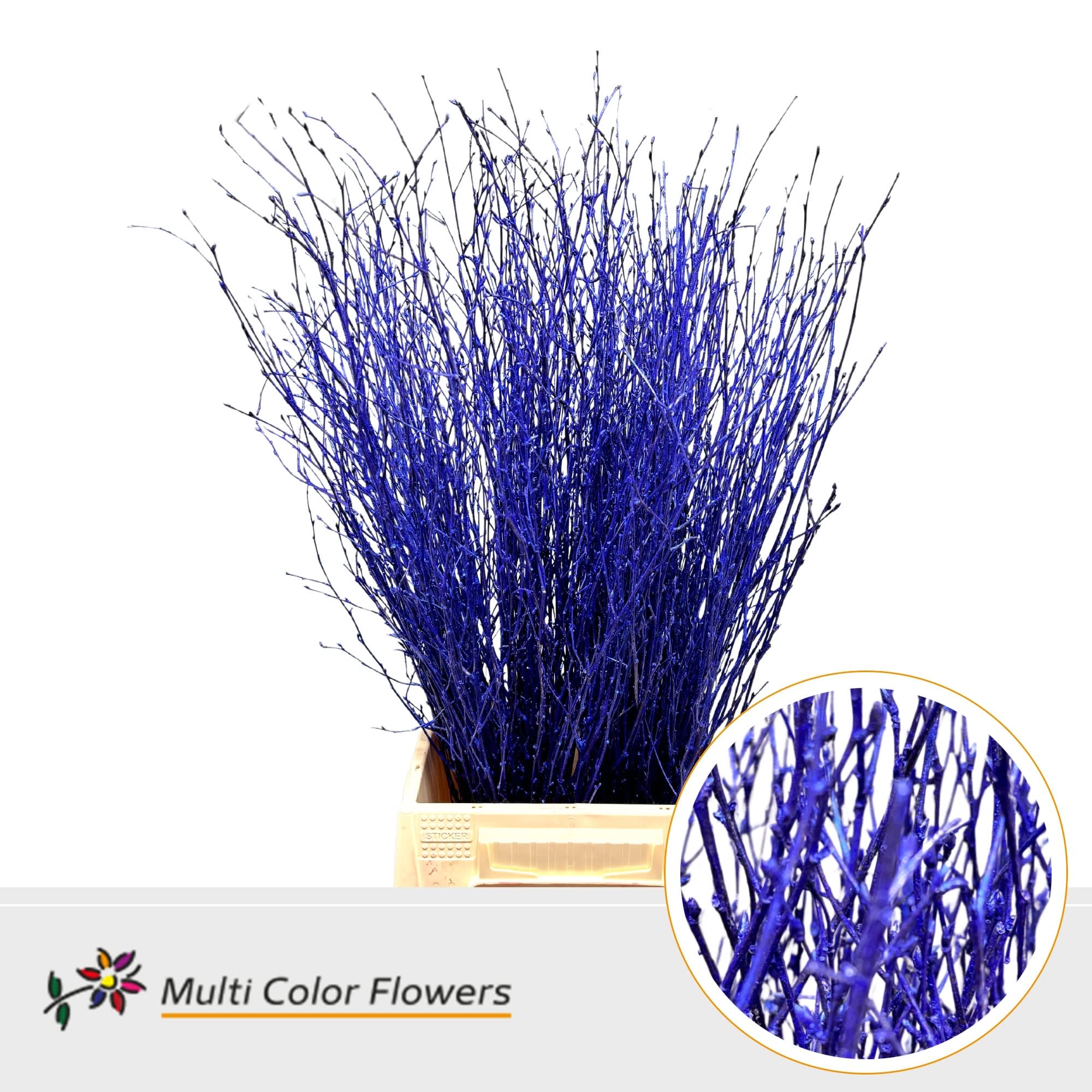 Срезанные цветы оптом Betula paint metallic blue от 100шт из Голландии с доставкой по России