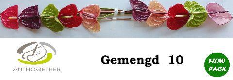 Срезанные цветы оптом Anthurium mix in box от 10шт. из Голландии с доставкой по России