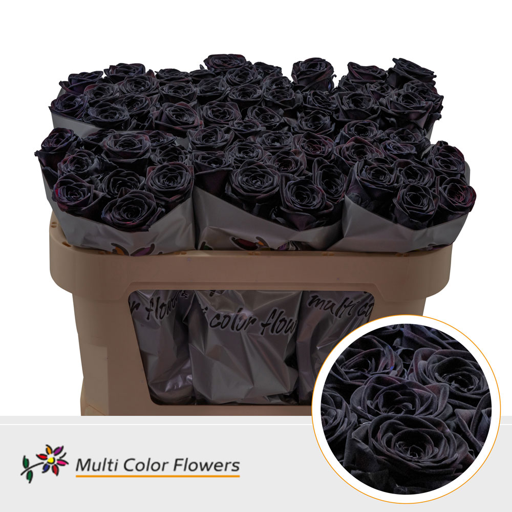 Срезанные цветы оптом Rosa large paint black (red naomi!) от 60шт. из Голландии с доставкой по России