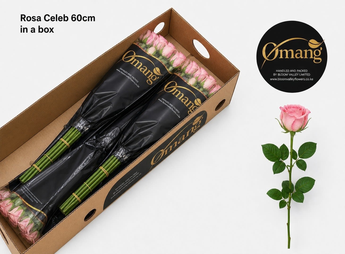 Срезанные цветы оптом Rosa large celeb от 90шт из Голландии с доставкой по России