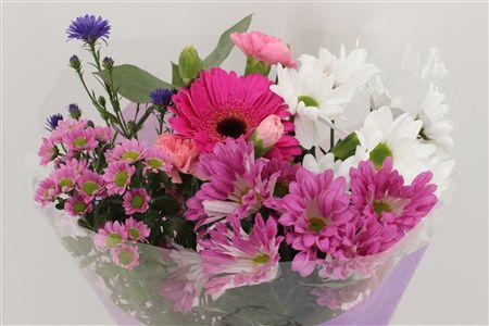 Срезанные цветы оптом Bouquet 5-7 stem lilac от 10шт из Голландии с доставкой по России