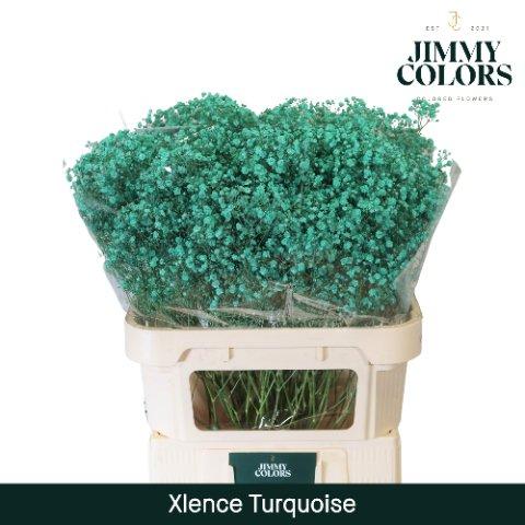 Срезанные цветы оптом Gyps large paint turqoise от 50шт из Голландии с доставкой по России