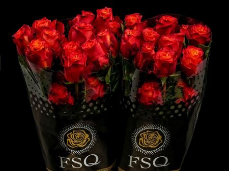 Срезанные цветы оптом Rosa ec atomic от 40шт из Голландии с доставкой по России