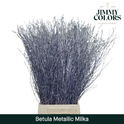 Срезанные цветы оптом Betula paint metallic milka от 10шт из Голландии с доставкой по России