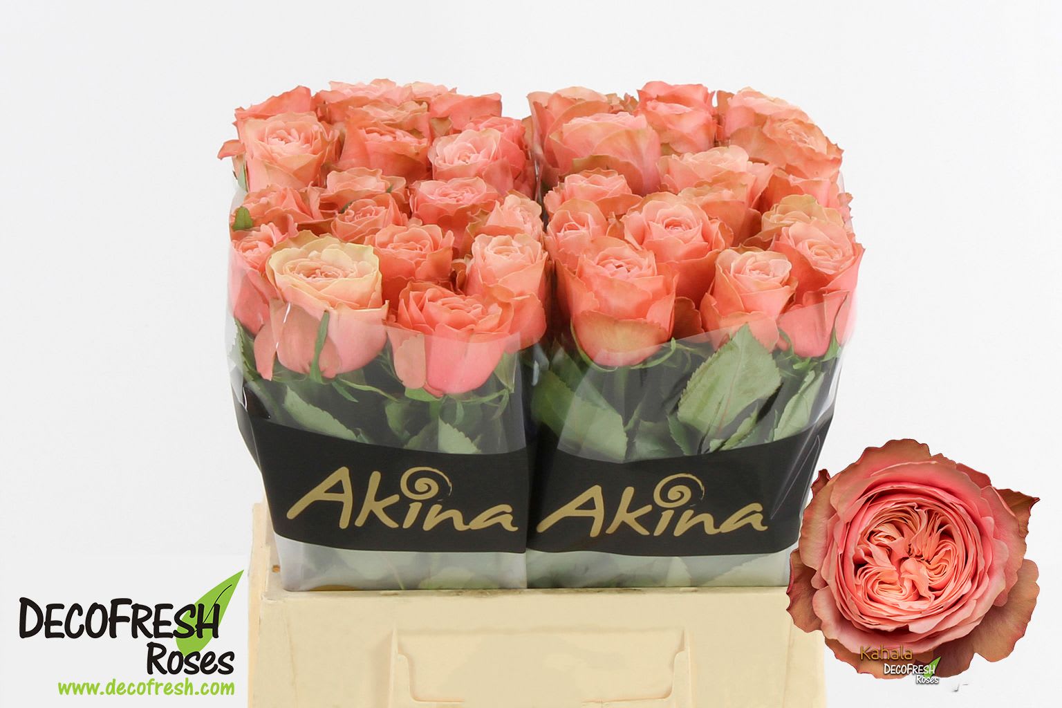 Срезанные цветы оптом Rosa large kahala от 40шт. из Голландии с доставкой по России