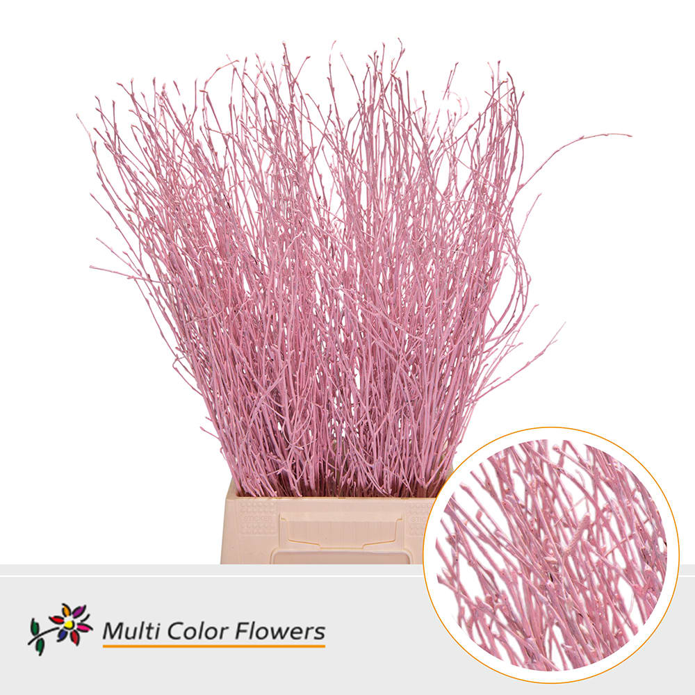 Срезанные цветы оптом Betula paint pink light от 100шт. из Голландии с доставкой по России