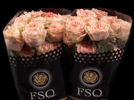 Срезанные цветы оптом Rosa ec art nuvo от 24шт из Голландии с доставкой по России