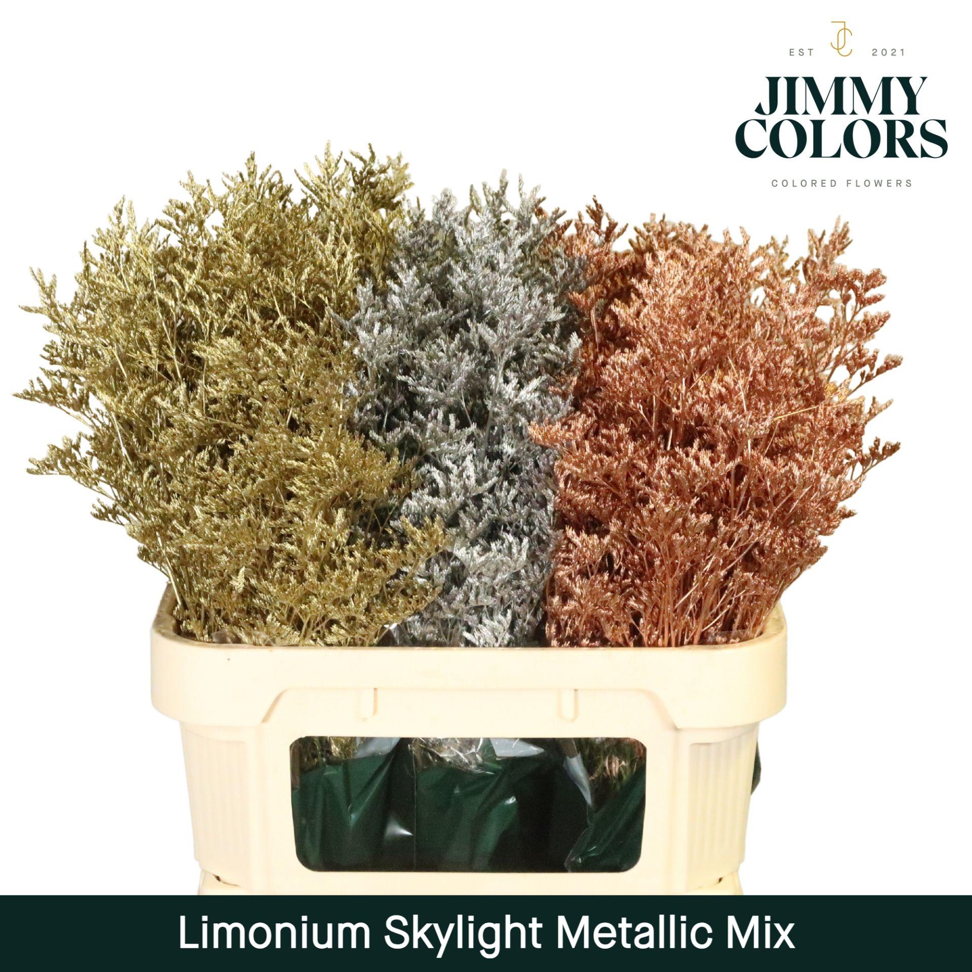 Срезанные цветы оптом Limonium paint mix metallic christmas от 75шт из Голландии с доставкой по России