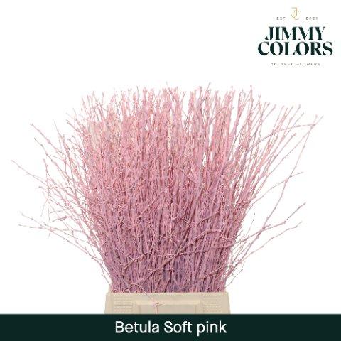 Срезанные цветы оптом Betula paint pink light от 20шт из Голландии с доставкой по России