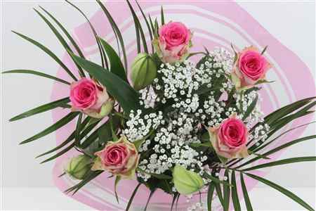 Срезанные цветы оптом Bouquet st pink от 8шт из Голландии с доставкой по России